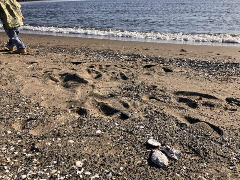 まなてぃさんのJFA夢フィールド 幕張温泉 湯楽の里のサ活写真