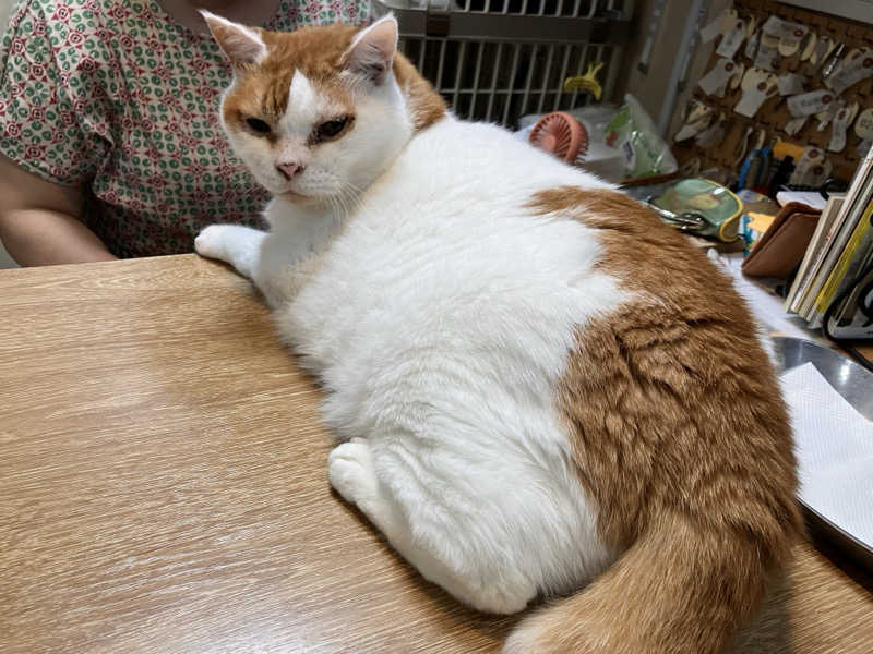 まなてぃさんの岩乃湯のサ活写真