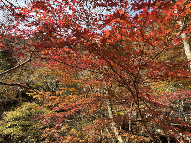 teraさんの奥山温泉のサ活写真
