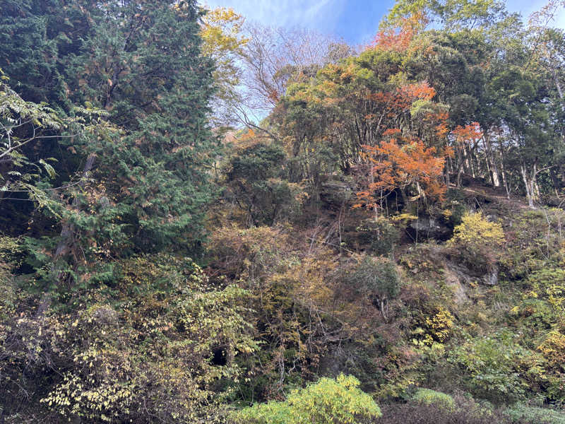 teraさんの奥山温泉のサ活写真