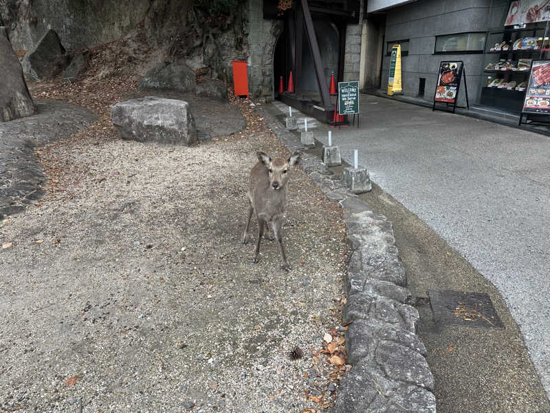 塵塵 a.k.a. DE-Kingさんの広島カプセルホテル&サウナ岩盤浴 ニュージャパンEXのサ活写真