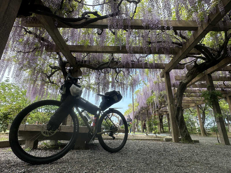 塵塵 a.k.a. DE-Kingさんのマーレ・グラッシア大三島のサ活写真
