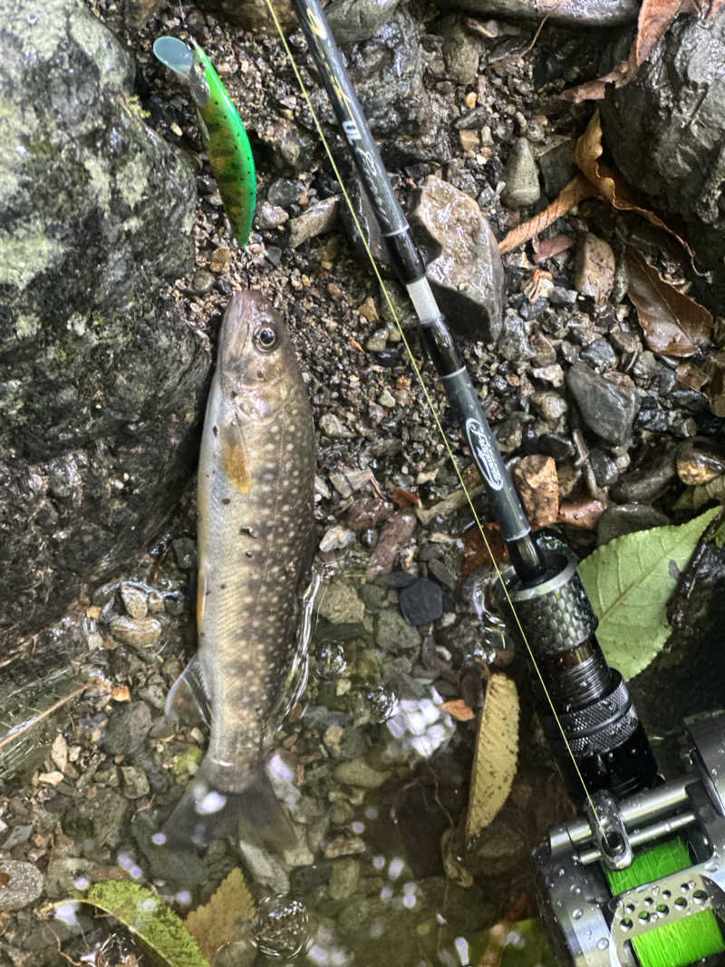 🇯🇵塵塵 a.k.a. DE-King🇯🇵さんのふいご温泉のサ活写真