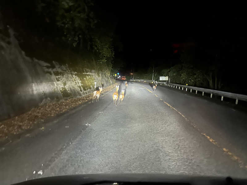 🇯🇵塵塵 a.k.a. DE-King🇯🇵さんのふいご温泉のサ活写真