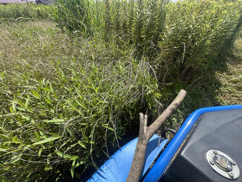 🇯🇵塵塵 a.k.a. DE-King🇯🇵さんのゴールデンタイム高松のサ活写真