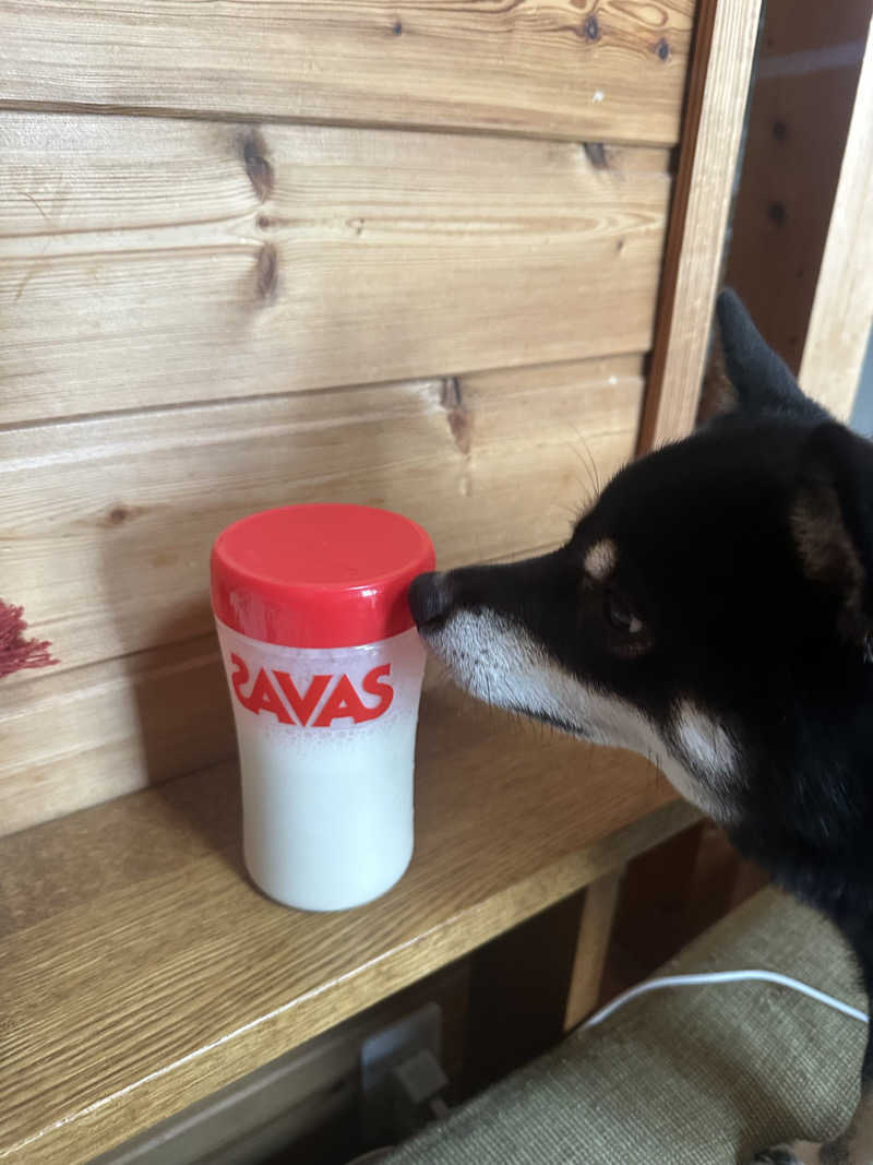 🇯🇵塵塵 a.k.a. DE-King🇯🇵さんの瀬戸大橋四国健康村のサ活写真