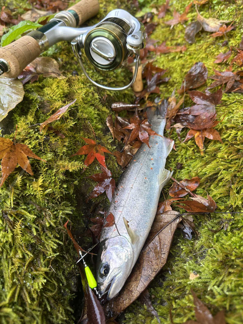 🇯🇵塵塵 a.k.a. DE-King🇯🇵さんの本川サウナ ニジュマルのサ活写真