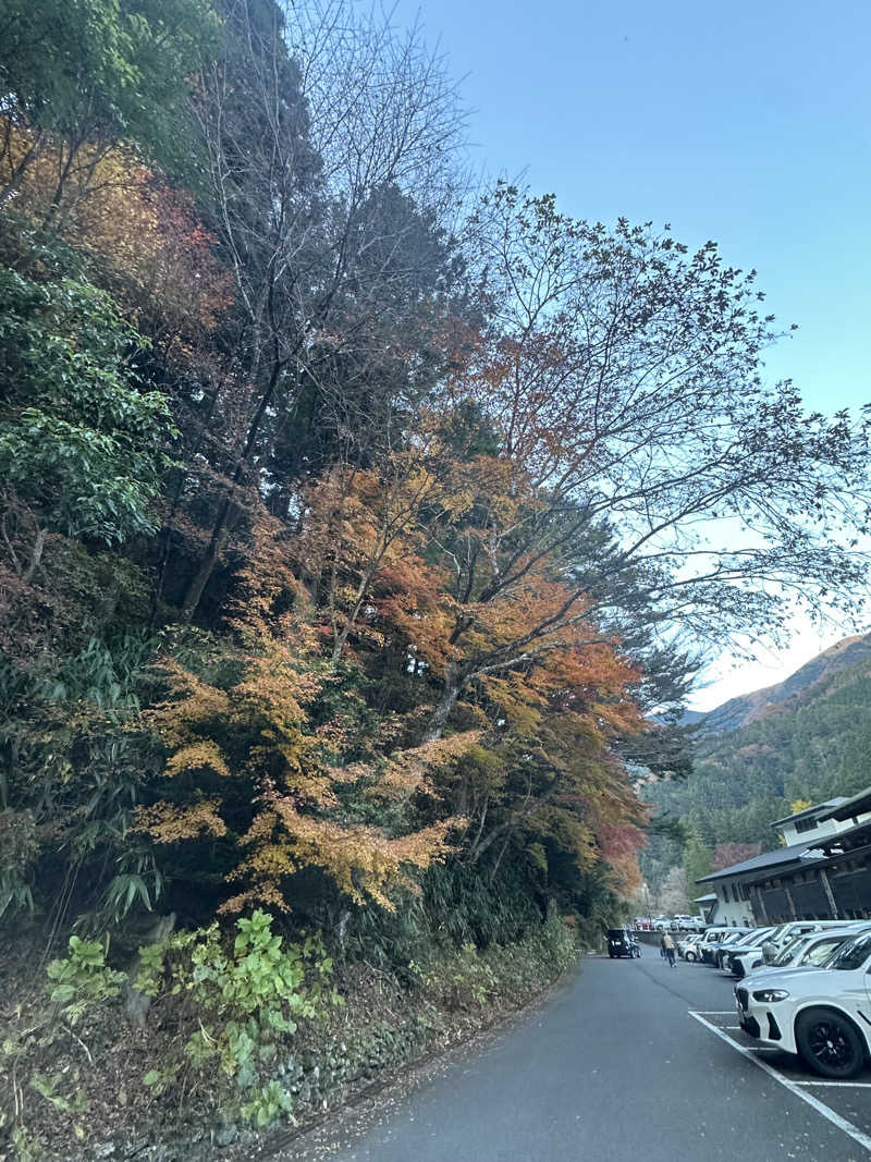 🇯🇵塵塵 a.k.a. DE-King🇯🇵さんの木の香温泉のサ活写真