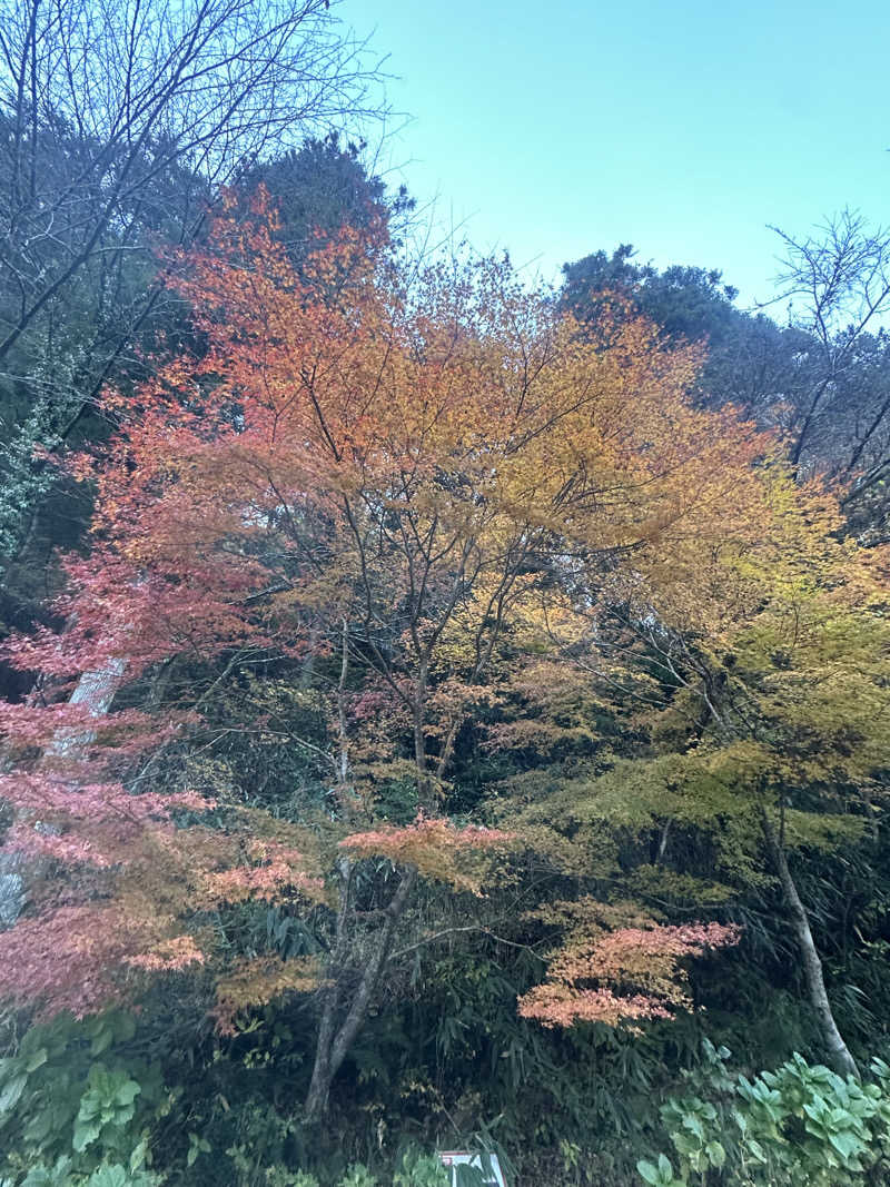 🇯🇵塵塵 a.k.a. DE-King🇯🇵さんの木の香温泉のサ活写真