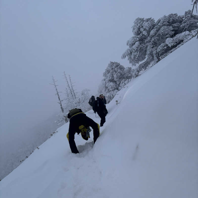 🇯🇵塵塵 a.k.a. DE-King🇯🇵さんの紅葉温泉のサ活写真