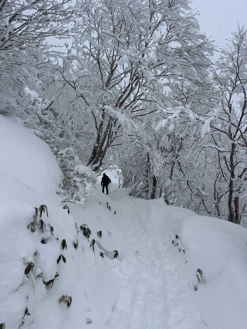 🇯🇵塵塵 a.k.a. DE-King🇯🇵さんの紅葉温泉のサ活写真