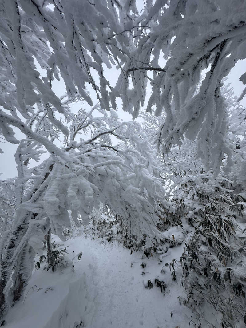 🇯🇵塵塵 a.k.a. DE-King🇯🇵さんの紅葉温泉のサ活写真