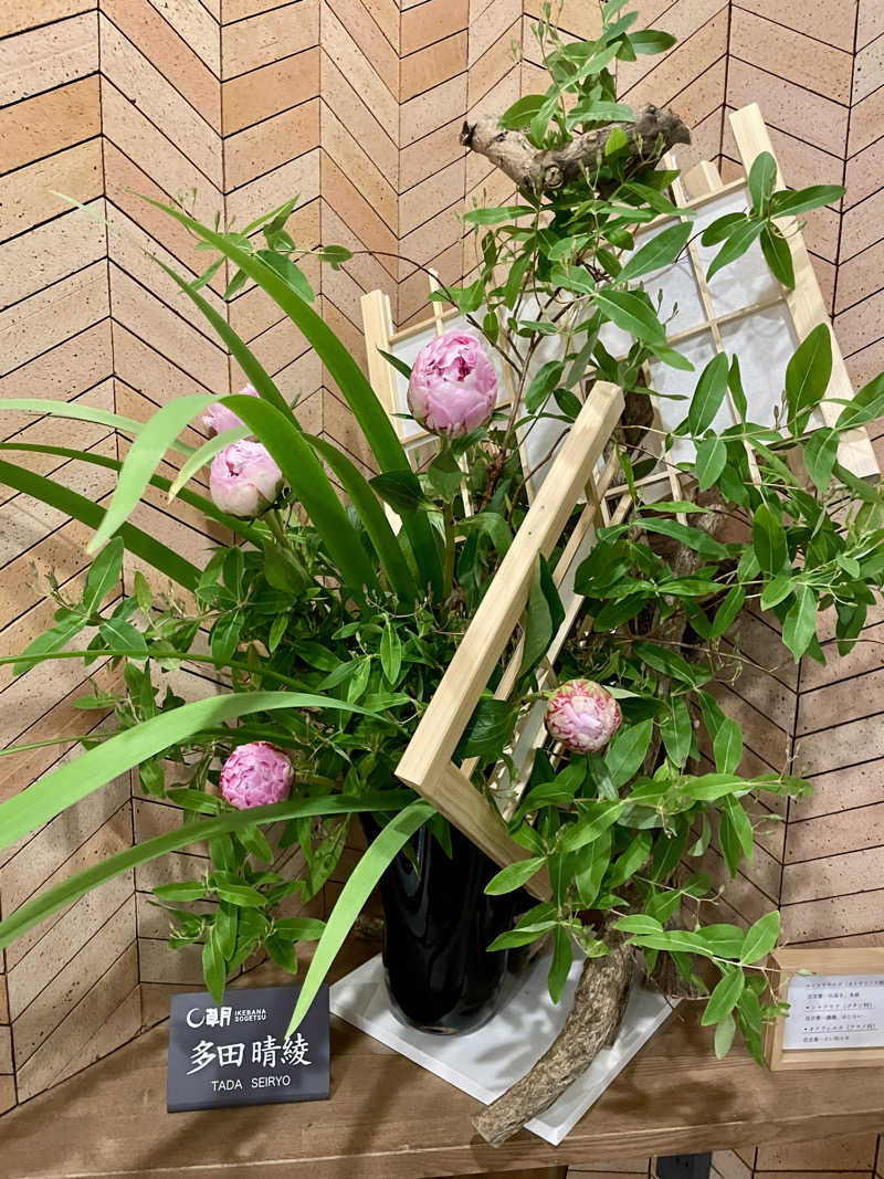 マルノウチ★ベルさんの朝日湯源泉ゆいるのサ活写真