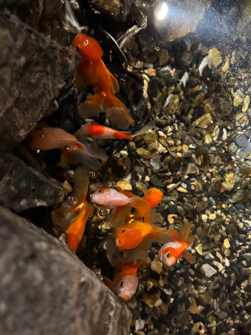 ともかさんのサウナ東京 (Sauna Tokyo)のサ活写真