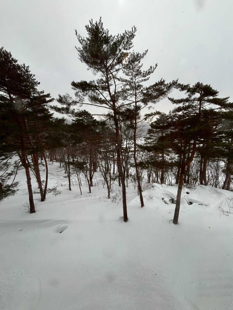 きまぐれサウナぼーいさんの裏磐梯レイクリゾート 五色の森のサ活写真