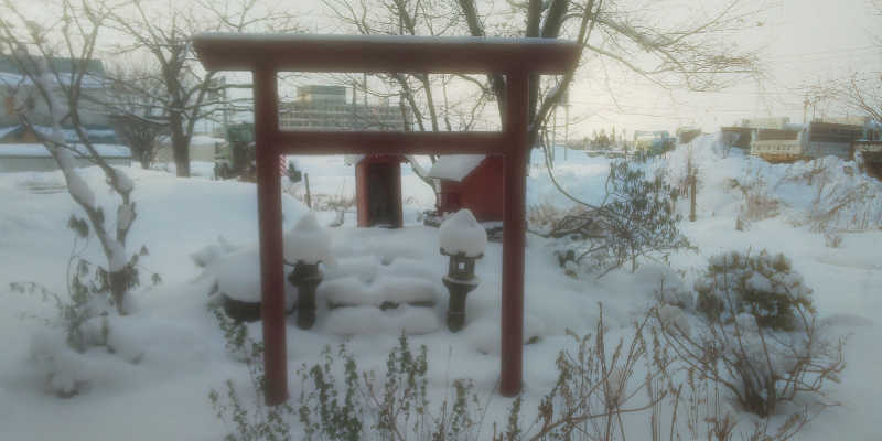 maruさんの龍乃湯温泉のサ活写真