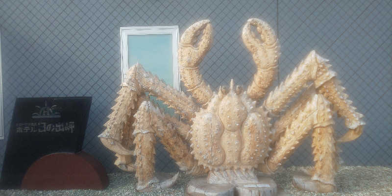 maruさんのオホーツク温泉ホテル日の出岬のサ活写真