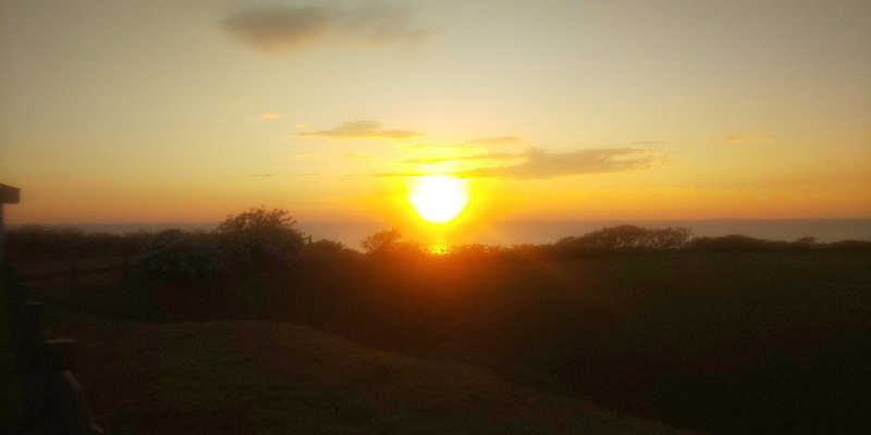 maruさんのゆったりかんのサ活写真