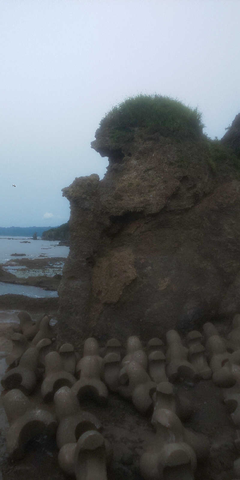 maruさんのうずら温泉のサ活写真