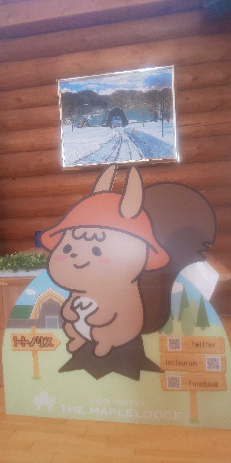 maruさんのログホテル  ザ  メープルロッジのサ活写真
