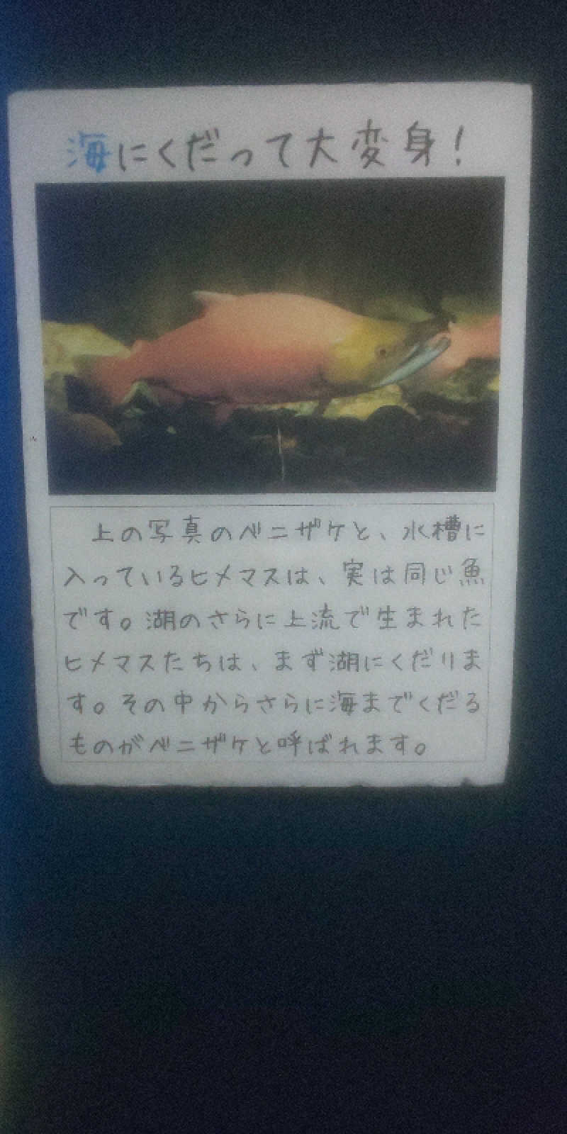 maruさんのあいべつ協和温泉 (湯元 協和温泉)のサ活写真