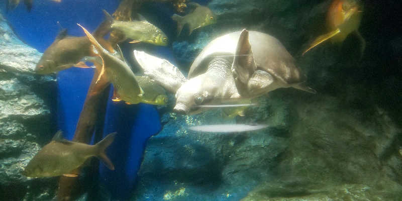 maruさんのあいべつ協和温泉 (湯元 協和温泉)のサ活写真
