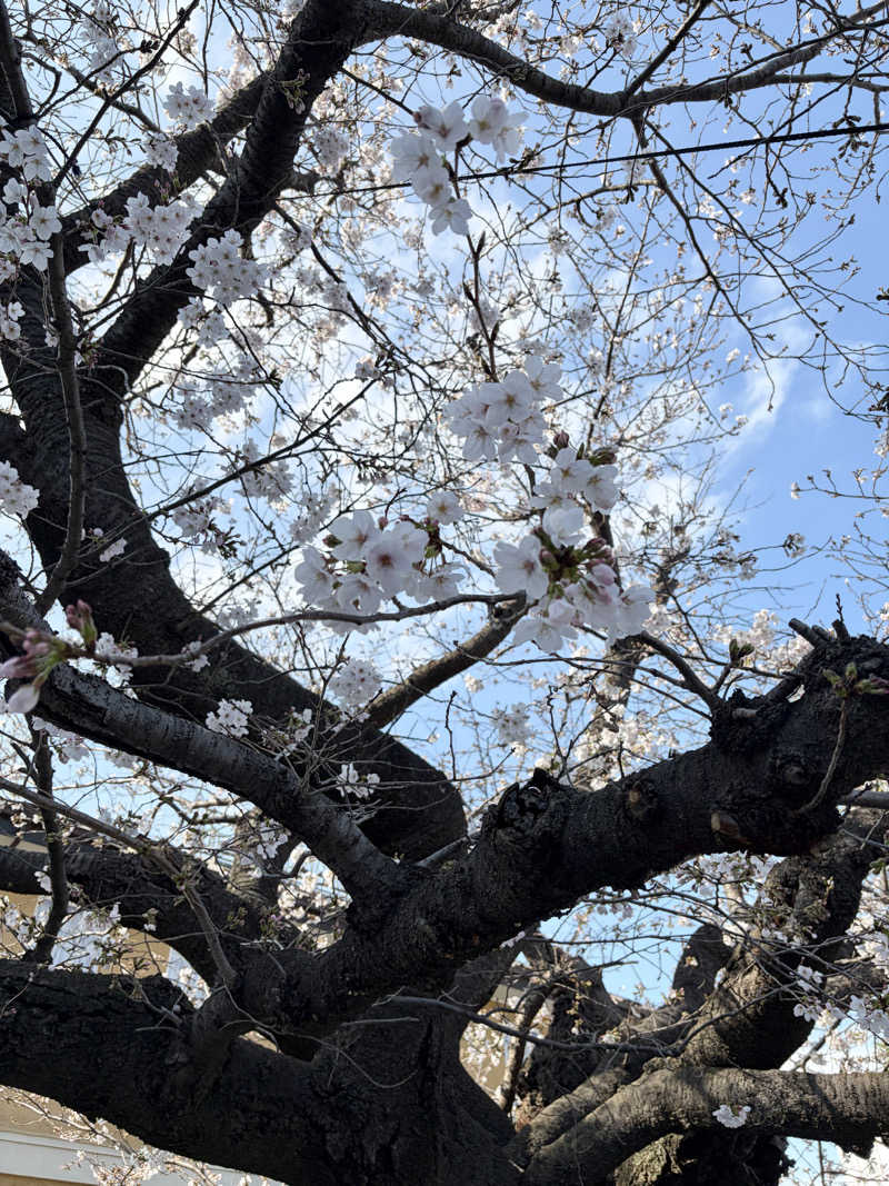 サウナチャンス妻さんのKAMAKURA HOTELのサ活写真