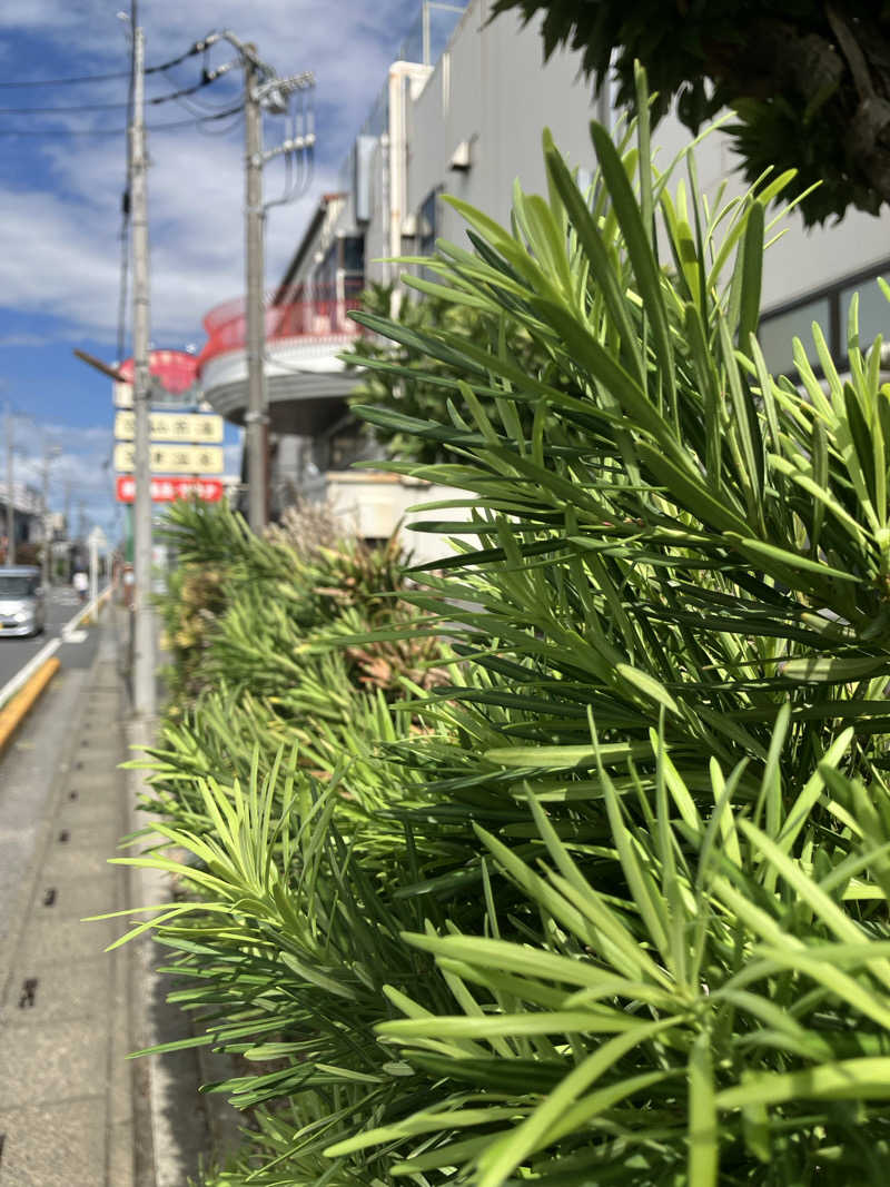 キラキラチャンネルさんの湯乃泉 草加健康センターのサ活写真