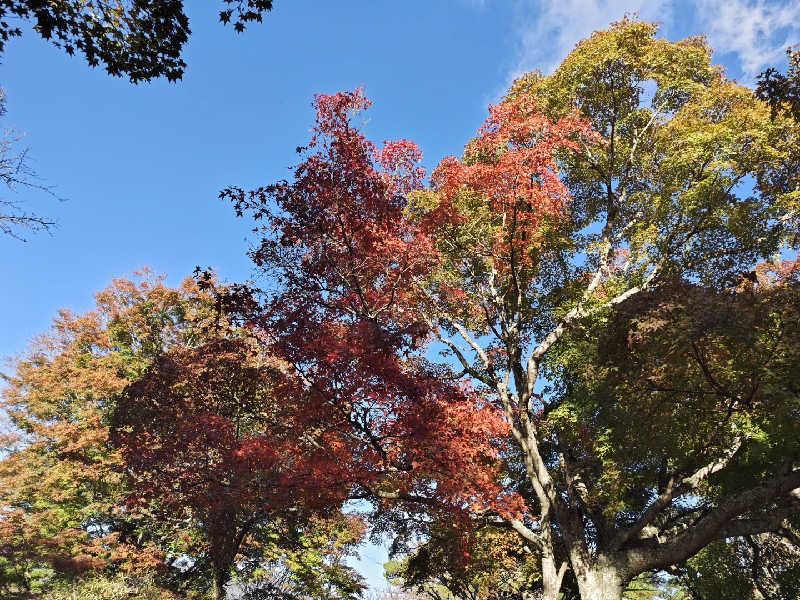 すぎ。さんの湯殿館のサ活写真