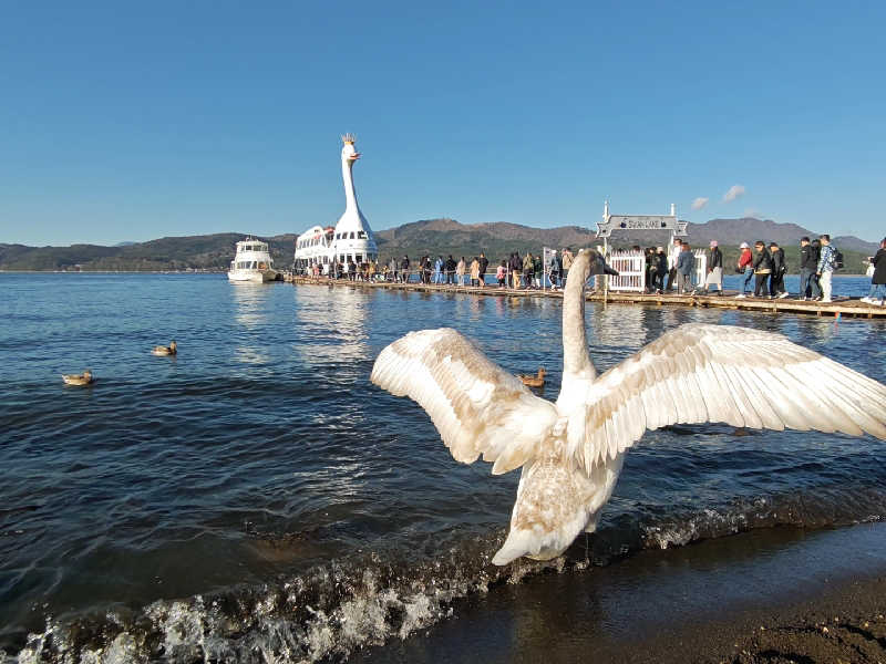 すぎ。さんの湯殿館のサ活写真