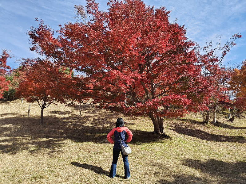 すぎ。さんの湯の国会館のサ活写真