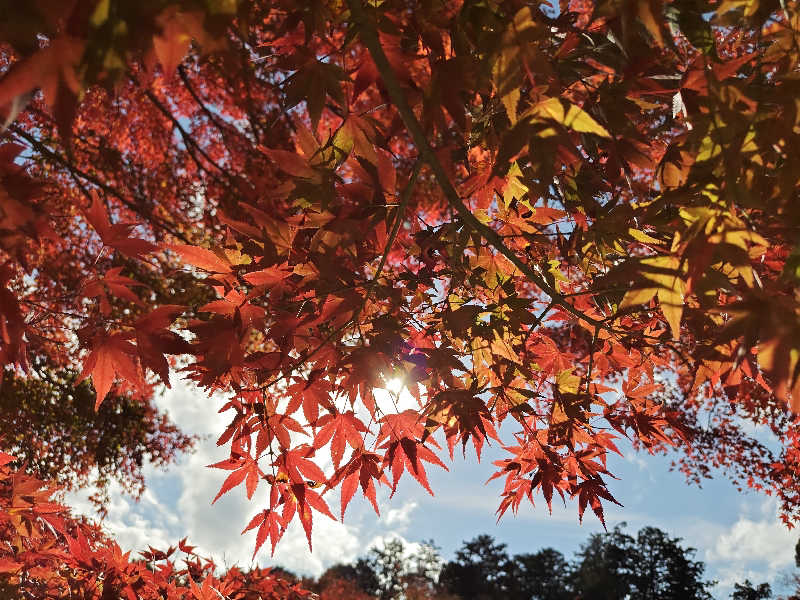 すぎ。さんの湯の国会館のサ活写真