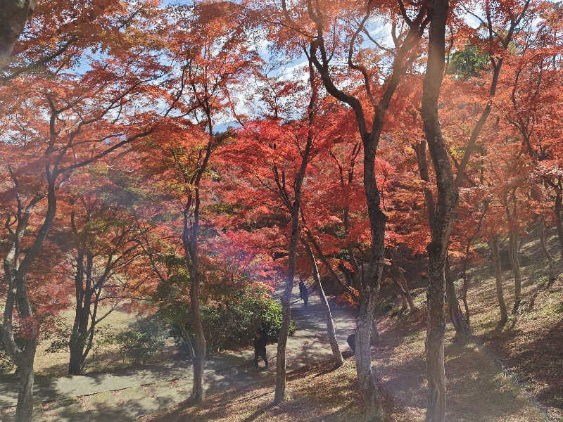 すぎ。さんの湯の国会館のサ活写真