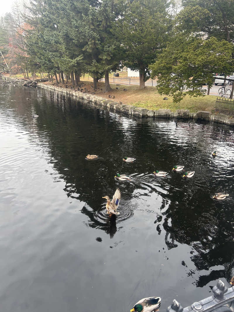 takuya.s 4さんの札内ガーデン温泉のサ活写真