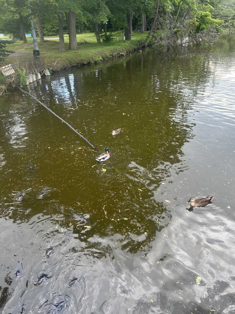 takuya.s 4さんの札内ガーデン温泉のサ活写真