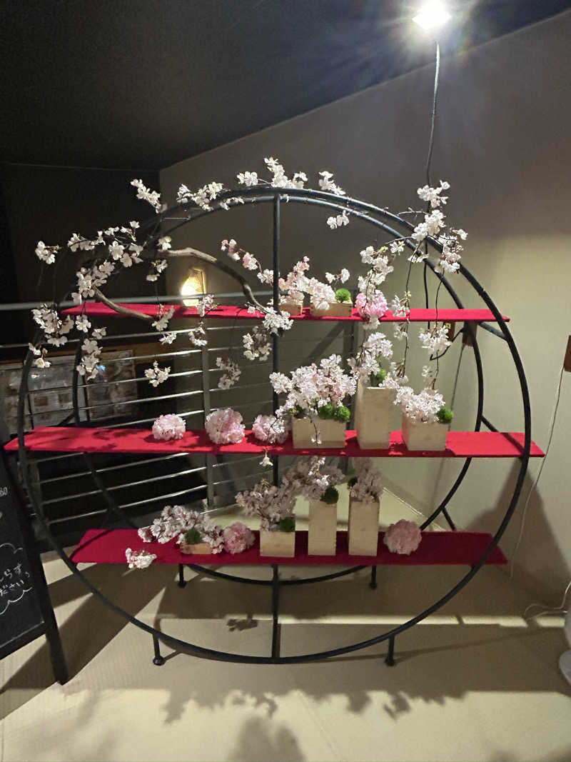 るいさんのおふろcafe bijinyu | 美肌湯のサ活写真