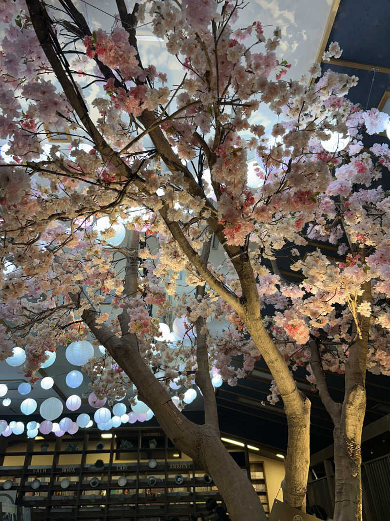 るいさんのおふろcafe bijinyu | 美肌湯のサ活写真