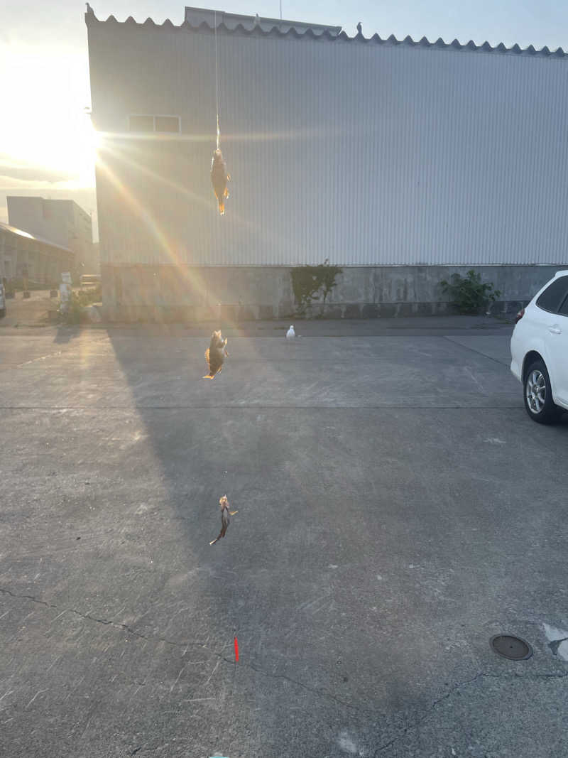 金平さんの月見湯のサ活写真