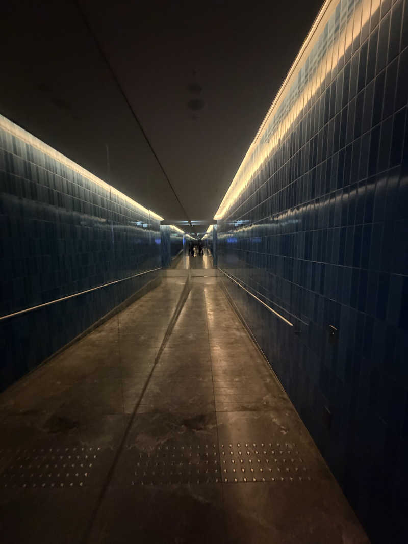 サウナー初段さんのW大阪のサ活写真