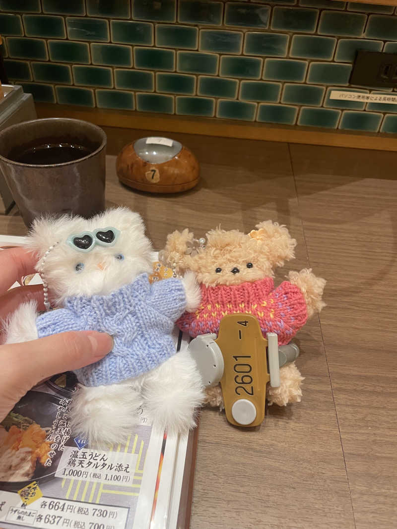 ゅさんの横濱スパヒルズ 竜泉寺の湯のサ活写真