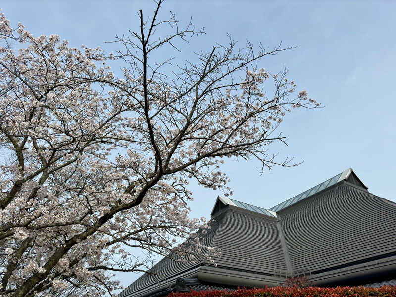 MUSHIUSさんの東温市ふるさと交流館さくらの湯のサ活写真