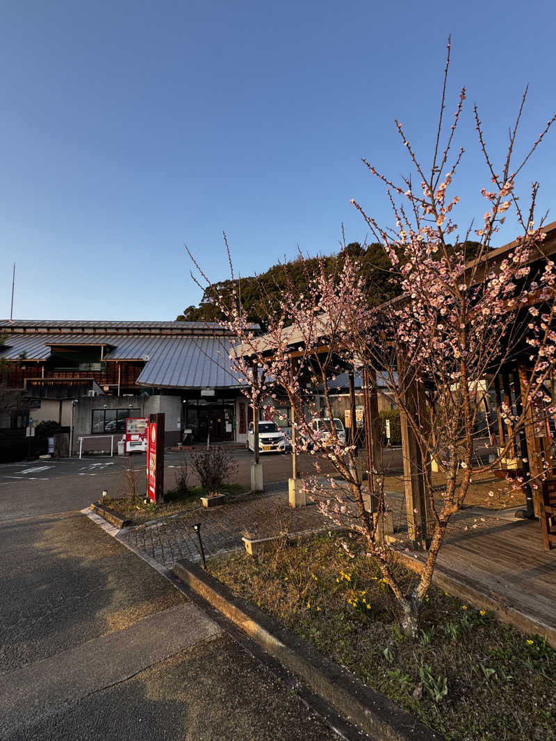 Jenovaさんの山江温泉ほたるのサ活写真