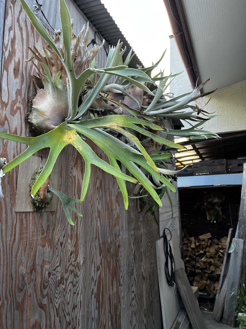 タクさんの85歳が創ったハンパない極熱サウナ~3UN~のサ活写真