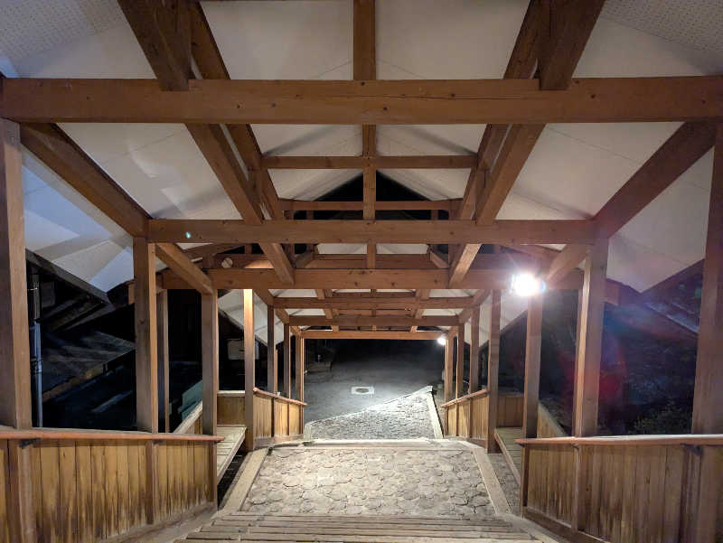 ちゃん丁目の下新屋物語さんの夏虫のお湯っこのサ活写真