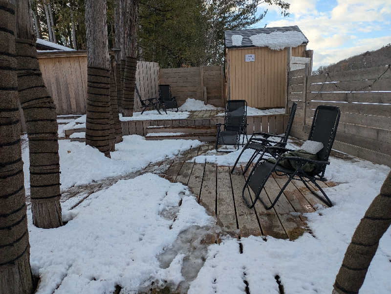 ちゃん丁目の下新屋物語さんのthe campus～トロイカの森～のサ活写真