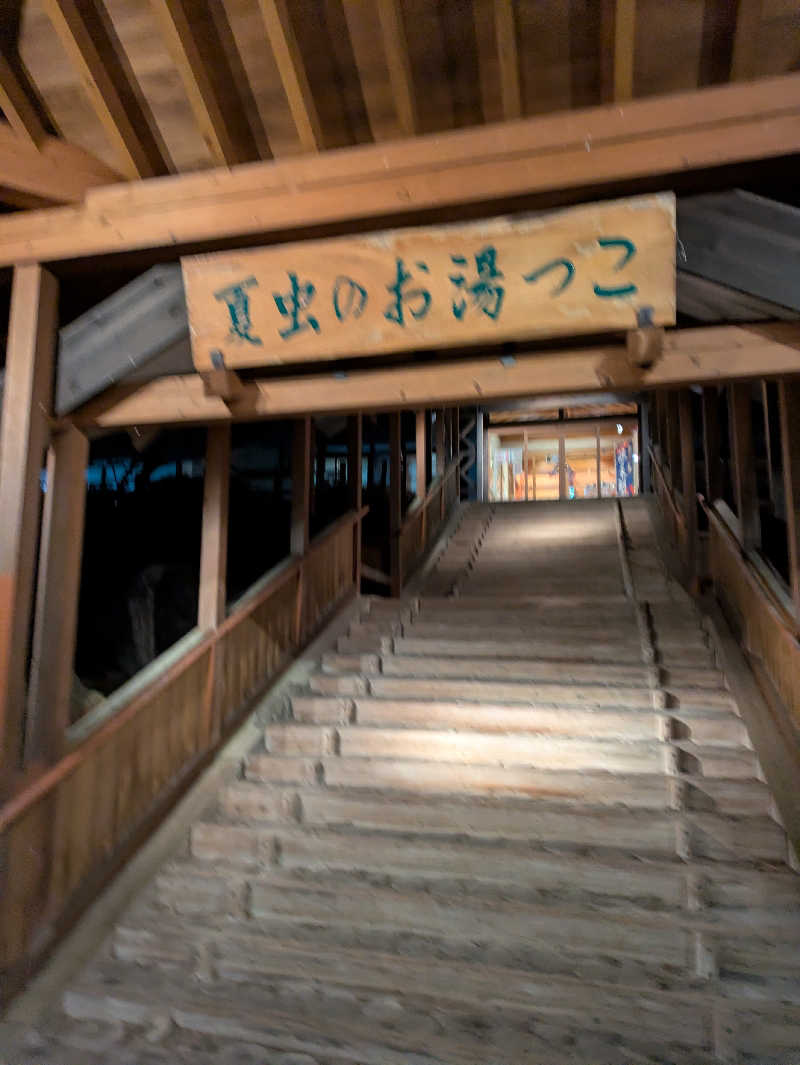 ちゃん丁目の下新屋物語さんの夏虫のお湯っこのサ活写真