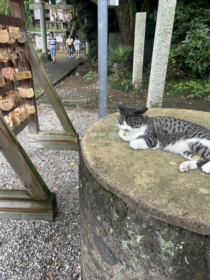 ハチワレさんの春日部温泉 湯楽の里のサ活写真