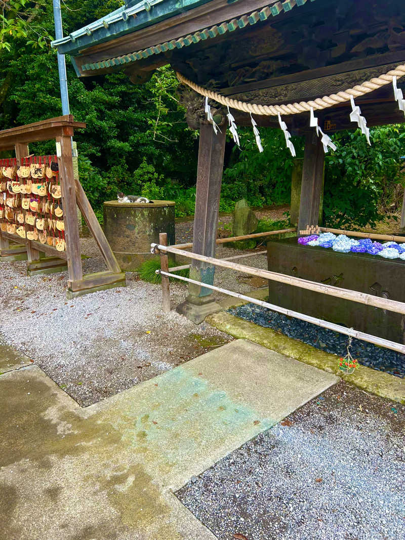 ハチワレさんの春日部温泉 湯楽の里のサ活写真