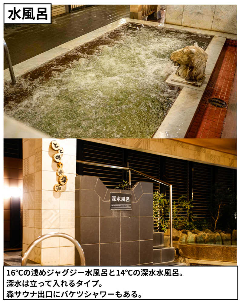 脱サラサウナさんのなにわ健康ランド 湯〜トピアのサ活写真