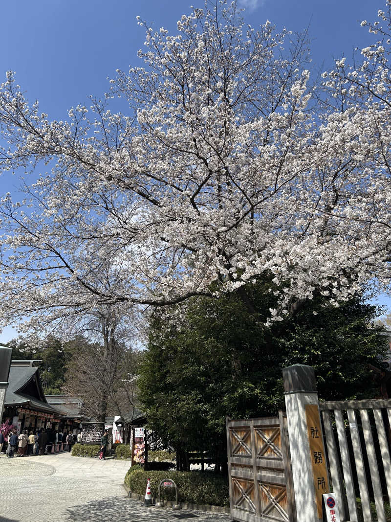 シンさんの野天風呂 湯の郷のサ活写真